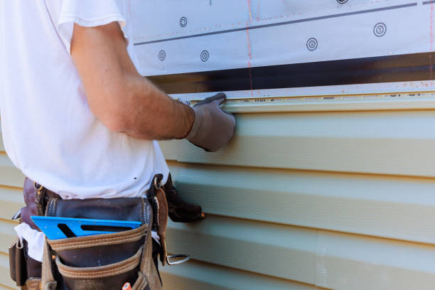 Affordable Siding Repair solutions in Alexandria, MN