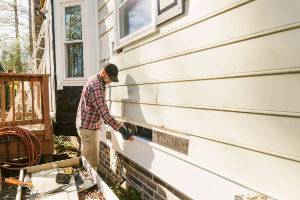 Top rated local Siding Repair specialists in Alexandria, MN
